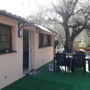 check availability